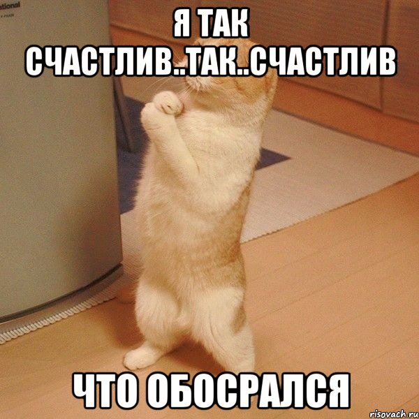 Я так счастлив..так..счастлив что обосрался, Мем  котэ молится