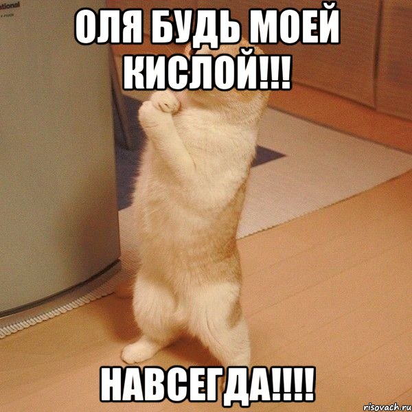 Оля будь моей кислой!!! Навсегда!!!!, Мем  котэ молится