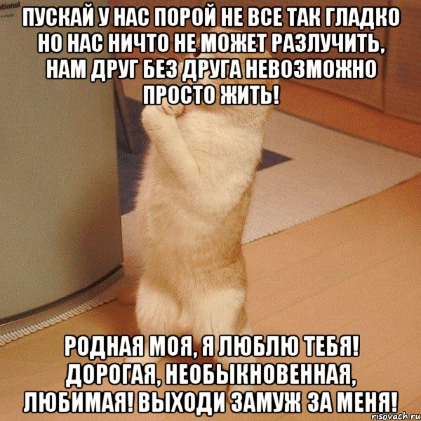 Пускай у нас порой Не все так гладко Но нас ничто Не может разлучить, Нам друг без друга Невозможно просто жить! Родная моя, я люблю тебя! Дорогая, необыкновенная, любимая! Выходи замуж за меня!, Мем  котэ молится