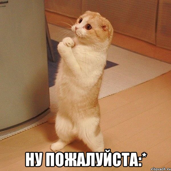  Ну пожалуйста:*, Мем  котэ молится