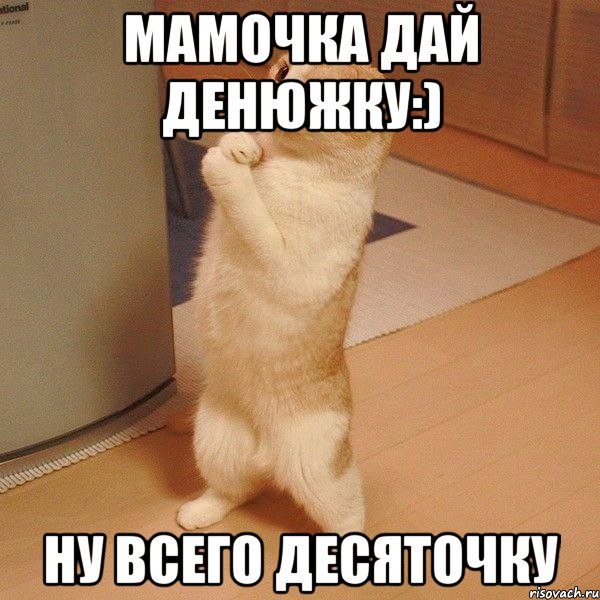 Мамочка дай денюжку:) Ну всего десяточку, Мем  котэ молится