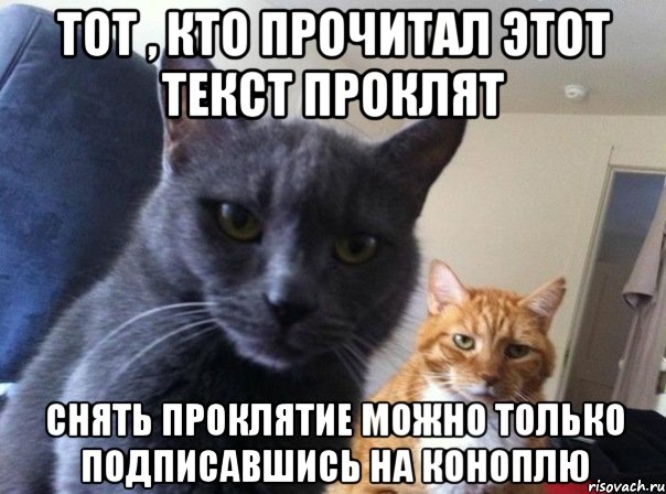 Тот , кто прочитал этот текст проклят Снять проклятие можно только подписавшись на Коноплю