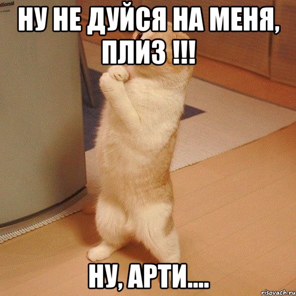 Ну не дуйся на меня, плиз !!! Ну, Арти...., Мем  котэ молится