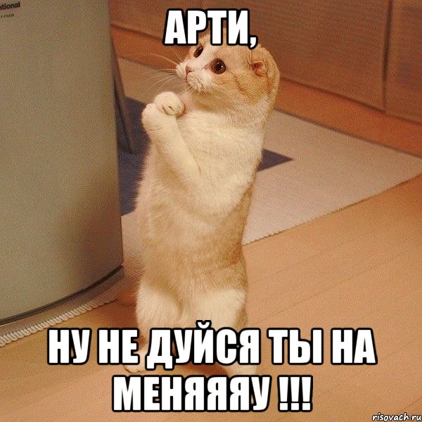 Арти, ну не дуйся ты на меняяяу !!!, Мем  котэ молится