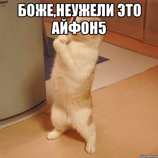 Боже,неужели это айфон5 , Мем  котэ молится