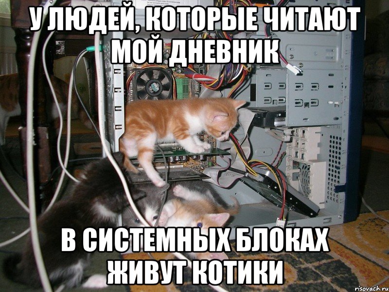 У ЛЮДЕЙ, КОТОРЫЕ ЧИТАЮТ МОЙ ДНЕВНИК В СИСТЕМНЫХ БЛОКАХ ЖИВУТ КОТИКИ
