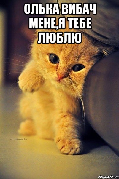 Олька вибач мене,я тебе люблю 