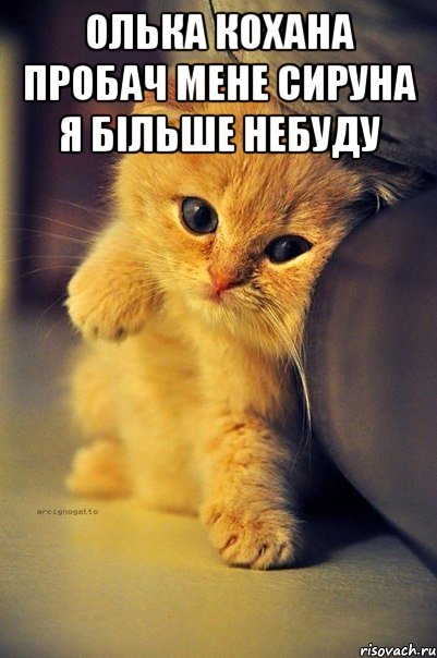 Олька кохана пробач мене сируна я більше небуду 