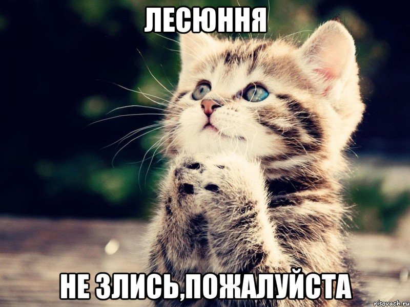 Лесюння не злись,пожалуйста