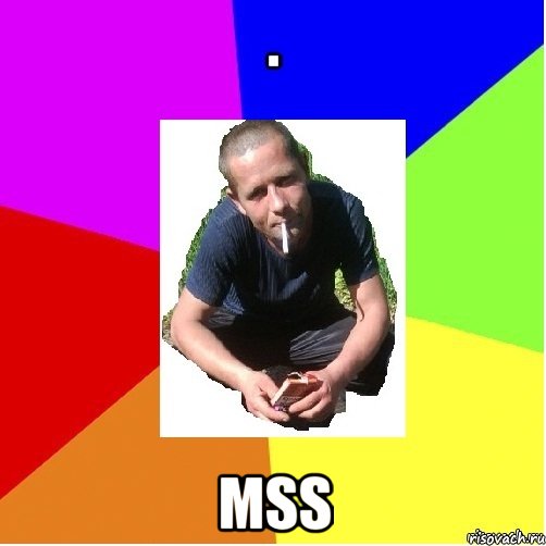  MSS