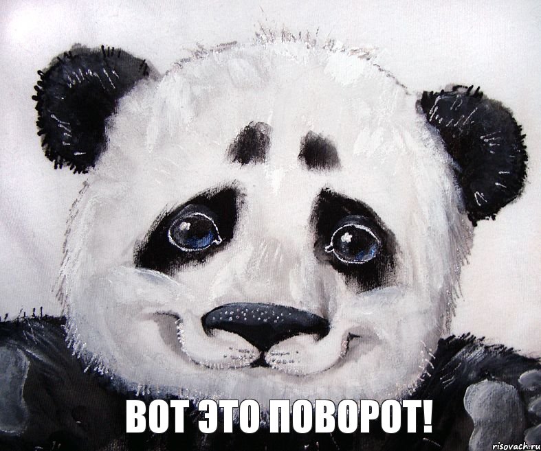 Вот это поворот!