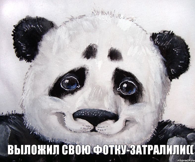 выложил свою фотку-затралили((