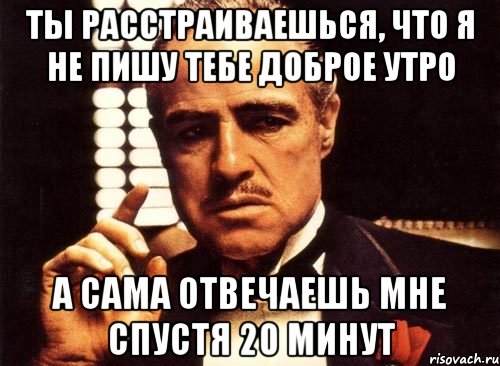 ты расстраиваешься, что я не пишу тебе доброе утро а сама отвечаешь мне спустя 20 минут, Мем крестный отец