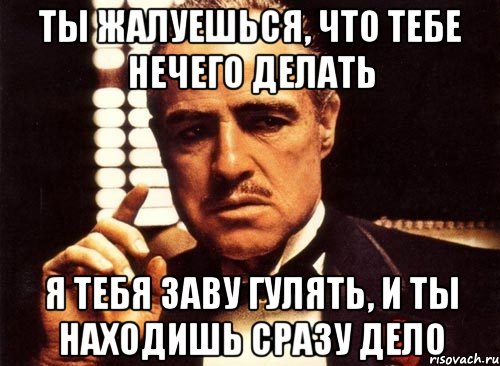 ты жалуешься, что тебе нечего делать я тебя заву гулять, и ты находишь сразу дело, Мем крестный отец