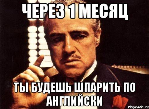 Через 1 месяц ты будешь шпарить по английски, Мем крестный отец