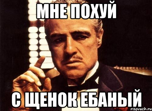 мне похуй с щенок ебаный, Мем крестный отец