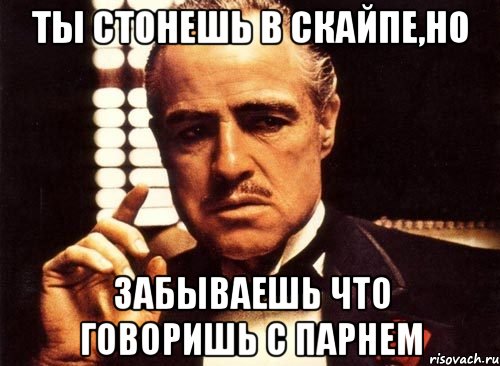 Ты стонешь в скайпе,но забываешь что говоришь с парнем, Мем крестный отец