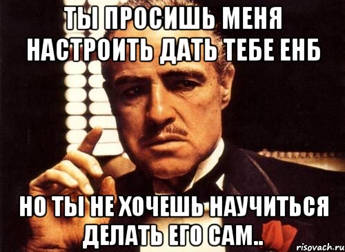 ты просишь меня настроить дать тебе ЕНБ Но ты не хочешь научиться делать его сам.., Мем крестный отец