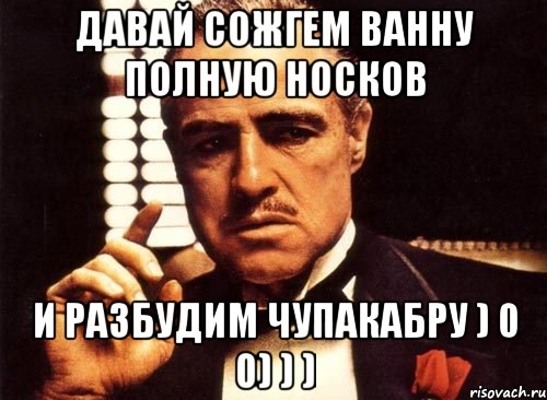 давай сожгем ванну полную носков и разбудим чупакабру ) 0 0) ) ), Мем крестный отец