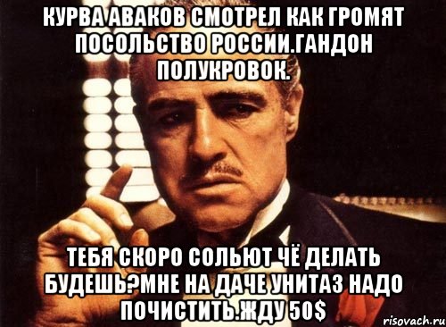 Курва аваков смотрел как громят посольство россии.гандон полукровок. Тебя скоро сольют чё делать будешь?мне на даче унитаз надо почистить.жду 50$, Мем крестный отец