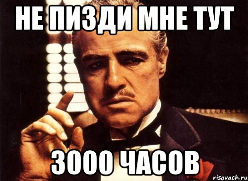 Не пизди мне тут 3000 часов, Мем крестный отец