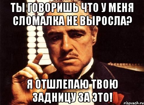 Ты говоришь что у меня сломалка не выросла? Я отшлепаю твою задницу за это!, Мем крестный отец