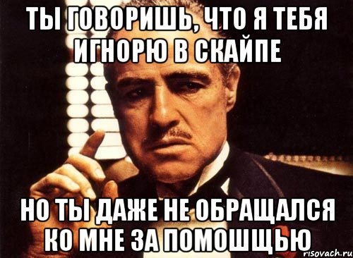 ты говоришь, что я тебя игнорю в скайпе но ты даже не обращался ко мне за помошщью, Мем крестный отец