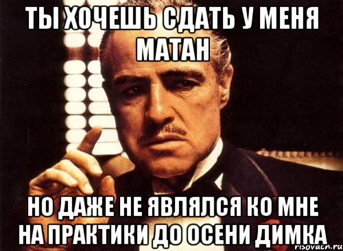 Ты хочешь сдать у меня матан но даже не являлся ко мне на практики до осени Димка, Мем крестный отец