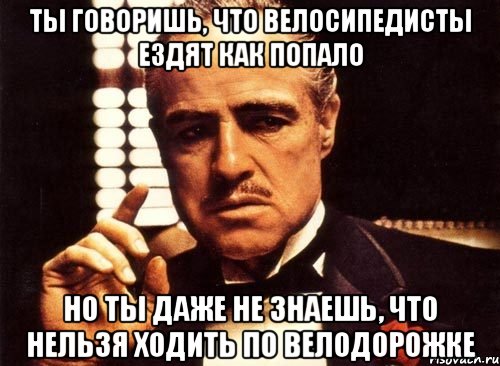 Ты говоришь, что велосипедисты ездят как попало Но ты даже не знаешь, что нельзя ходить по велодорожке, Мем крестный отец