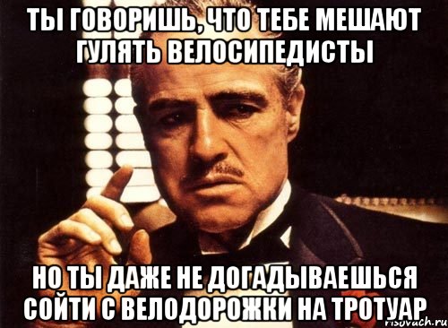 Ты говоришь, что тебе мешают гулять велосипедисты Но ты даже не догадываешься сойти с велодорожки на тротуар, Мем крестный отец