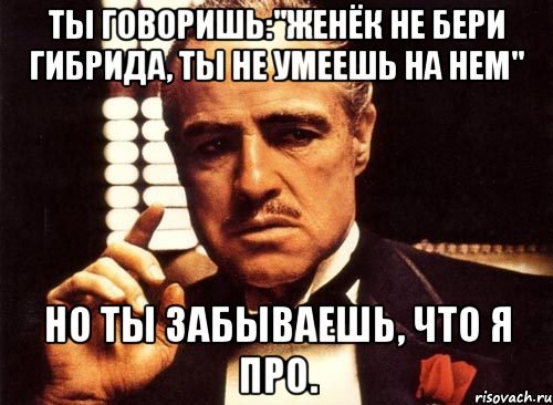 Ты говоришь:"Женёк не бери гибрида, ты не умеешь на нем" Но ты забываешь, что я про., Мем крестный отец