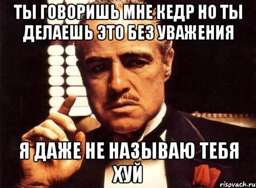 ТЫ ГОВОРИШЬ МНЕ КЕДР НО ТЫ ДЕЛАЕШЬ ЭТО БЕЗ УВАЖЕНИЯ Я ДАЖЕ НЕ НАЗЫВАЮ ТЕБЯ ХУЙ, Мем крестный отец