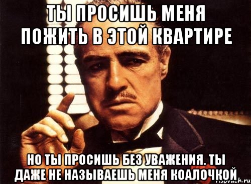 ты просишь меня пожить в этой квартире но ты просишь без уважения. ты даже не называешь меня коалочкой, Мем крестный отец