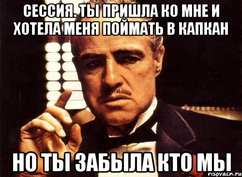 Сессия. Ты пришла ко мне и хотела меня поймать в капкан Но ты забыла кто мы, Мем крестный отец