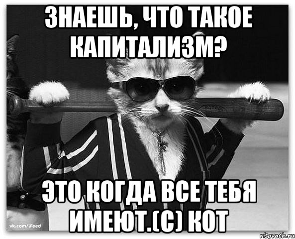Знаешь, что такое капитализм? Это когда все тебя имеют.(c) Кот, Мем Криминальный кот