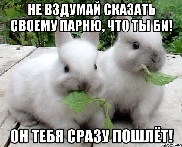 не вздумай сказать своему парню, что ты би! он тебя сразу пошлёт!