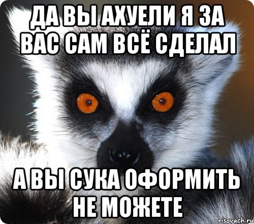 Да вы ахуели я за вас сам всё сделал А вы сука оформить не можете, Мем лемур