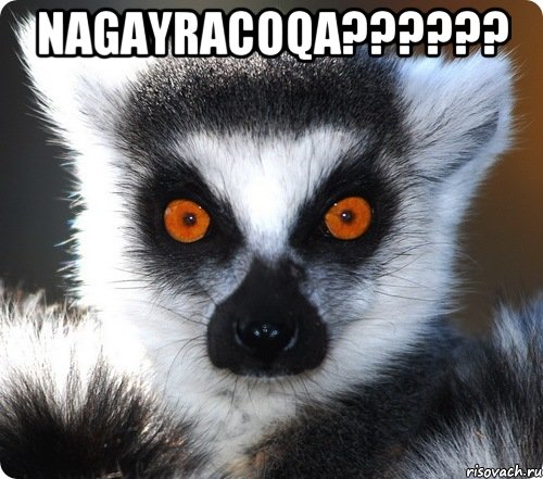 Nagayracoqa?????? , Мем лемур