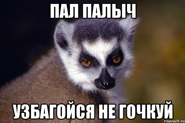 ПАЛ ПАЛЫЧ УЗБАГОЙСЯ НЕ ГОЧКУЙ