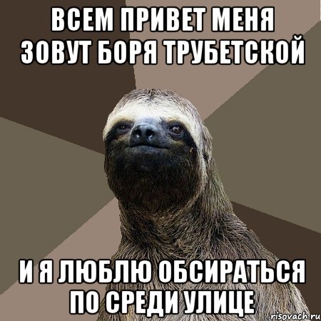 всем привет меня зовут боря трубетской и я люблю обсираться по среди улице, Мем Ленивец2