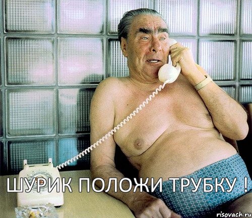 Шурик положи трубку !, Комикс леонид ильич