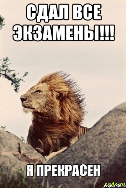 Сдал все экзамены!!! 