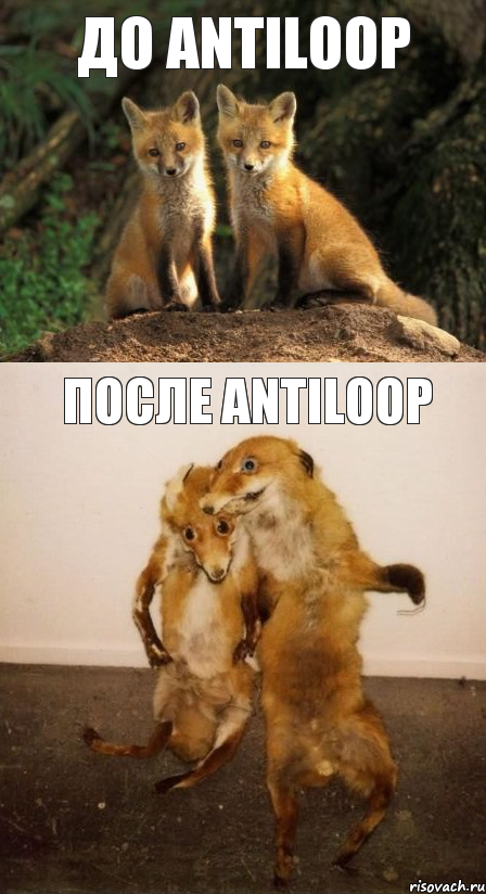 До Antiloop После Antiloop, Комикс Лисицы