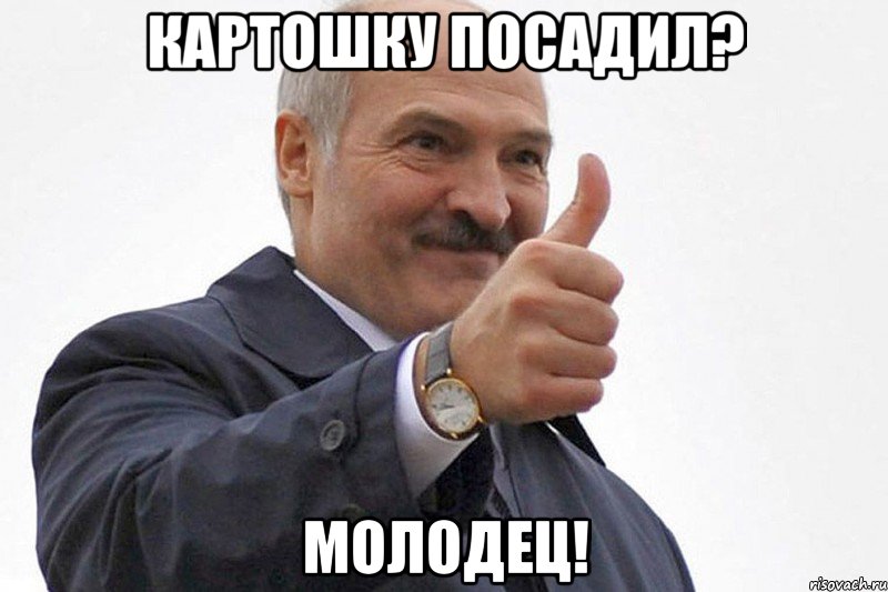 Картошку посадил? МОЛОДЕЦ!