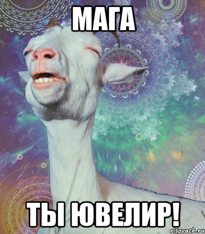 МАГА ТЫ ЮВЕЛИР!, Мем мага ты ювелир