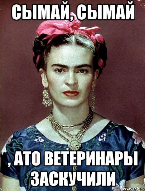 Сымай, сымай , АТО ветеринары заскучили, Мем Magdalena Carmen Frieda Kahlo Ca