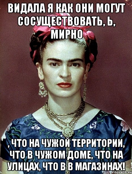 Видала я как они могут сосуществовать, Ь, мирно , что на чужой территории, что в чужом доме, что на улицах, что в в магазинах!