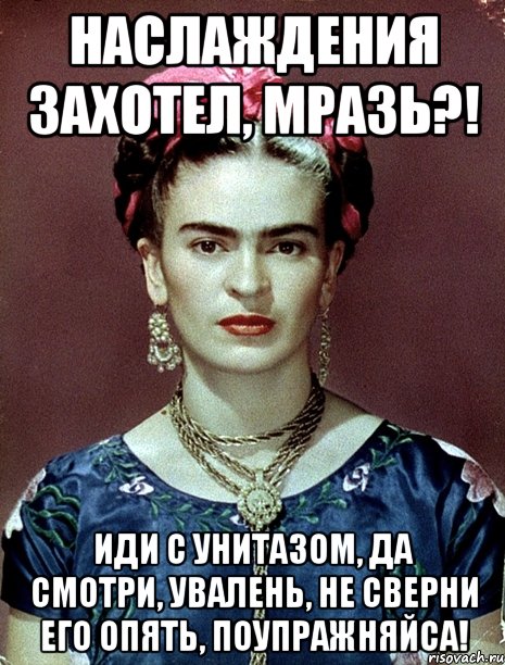 Наслаждения захотел, мразь?! Иди с унитазом, да смотри, увалень, не сверни его опять, поупражняйса!