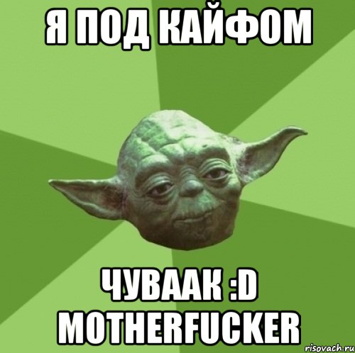 я под кайфом чуваак :D motherfucker, Мем Мастер Йода