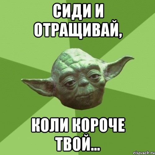сиди и отращивай, коли короче твой..., Мем Мастер Йода